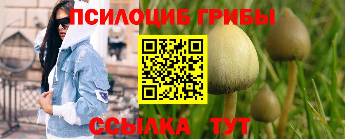 Псилоцибиновые грибы Magic Shrooms  Псилоцибиновые грибы ЛСД  Вход с VPN  Среднеуральск 